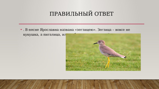 Правильный ответ . В песне Ярославна названа «зегзицею». Зегзица – вовсе не кукушка, а пигалица, или чибис, или речная чайка. 