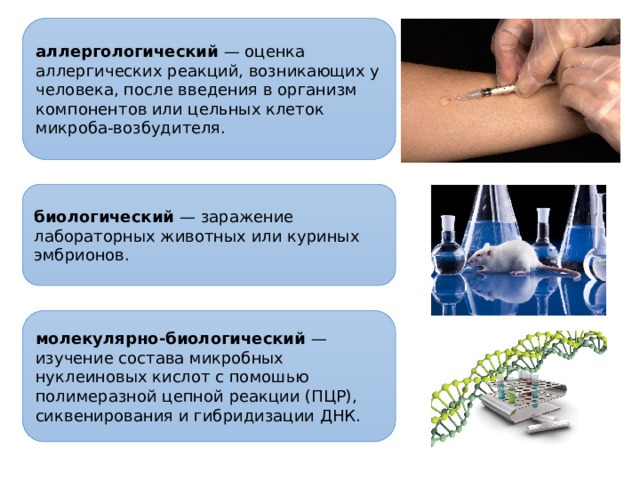 Презентация на тему микробиологическая лаборатория