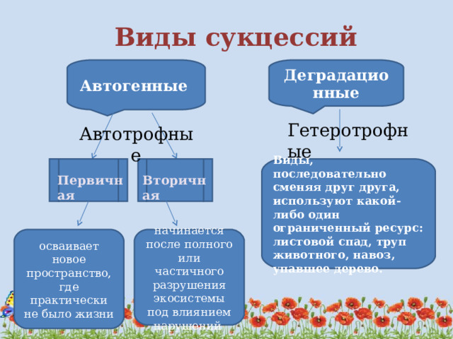 чем обусловлена смена биогеоценозов. Смотреть фото чем обусловлена смена биогеоценозов. Смотреть картинку чем обусловлена смена биогеоценозов. Картинка про чем обусловлена смена биогеоценозов. Фото чем обусловлена смена биогеоценозов