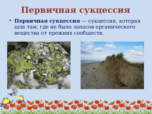 чем обусловлена смена биогеоценозов. Смотреть фото чем обусловлена смена биогеоценозов. Смотреть картинку чем обусловлена смена биогеоценозов. Картинка про чем обусловлена смена биогеоценозов. Фото чем обусловлена смена биогеоценозов