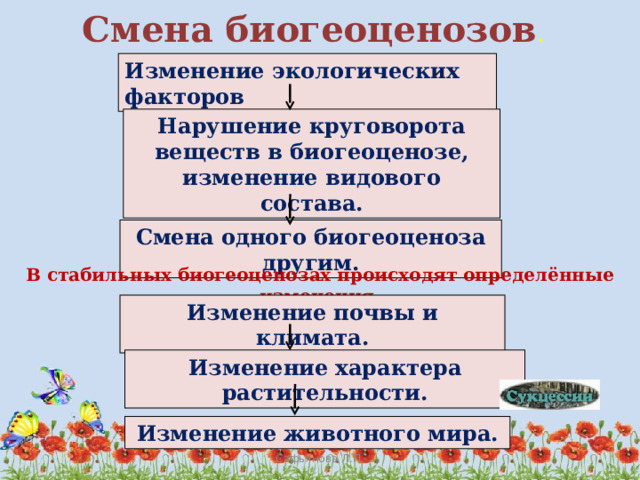 Развитие и смена биогеоценозов презентация