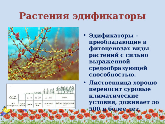 чем обусловлена смена биогеоценозов. Смотреть фото чем обусловлена смена биогеоценозов. Смотреть картинку чем обусловлена смена биогеоценозов. Картинка про чем обусловлена смена биогеоценозов. Фото чем обусловлена смена биогеоценозов