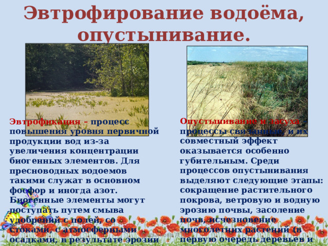 чем обусловлена смена биогеоценозов. Смотреть фото чем обусловлена смена биогеоценозов. Смотреть картинку чем обусловлена смена биогеоценозов. Картинка про чем обусловлена смена биогеоценозов. Фото чем обусловлена смена биогеоценозов