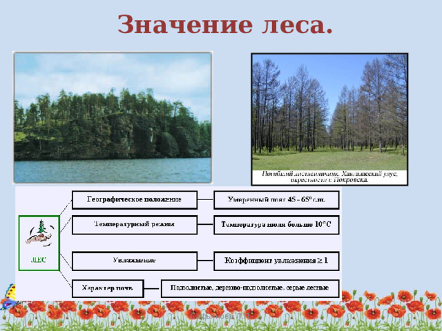 чем обусловлена смена биогеоценозов. Смотреть фото чем обусловлена смена биогеоценозов. Смотреть картинку чем обусловлена смена биогеоценозов. Картинка про чем обусловлена смена биогеоценозов. Фото чем обусловлена смена биогеоценозов