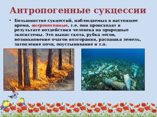 чем обусловлена смена биогеоценозов. Смотреть фото чем обусловлена смена биогеоценозов. Смотреть картинку чем обусловлена смена биогеоценозов. Картинка про чем обусловлена смена биогеоценозов. Фото чем обусловлена смена биогеоценозов