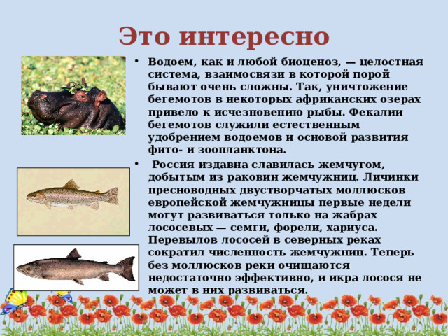 чем обусловлена смена биогеоценозов. Смотреть фото чем обусловлена смена биогеоценозов. Смотреть картинку чем обусловлена смена биогеоценозов. Картинка про чем обусловлена смена биогеоценозов. Фото чем обусловлена смена биогеоценозов