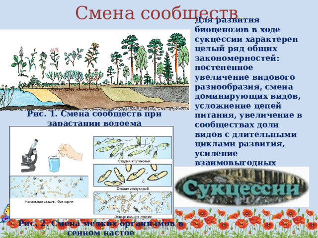 чем обусловлена смена биогеоценозов. Смотреть фото чем обусловлена смена биогеоценозов. Смотреть картинку чем обусловлена смена биогеоценозов. Картинка про чем обусловлена смена биогеоценозов. Фото чем обусловлена смена биогеоценозов