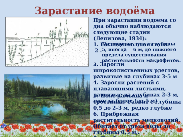 Схема зарастание озера