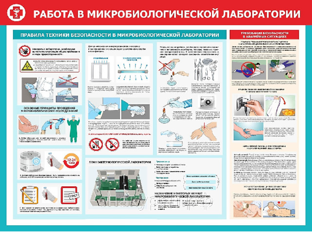 Микробиологическая лаборатория чем занимается. Смотреть фото Микробиологическая лаборатория чем занимается. Смотреть картинку Микробиологическая лаборатория чем занимается. Картинка про Микробиологическая лаборатория чем занимается. Фото Микробиологическая лаборатория чем занимается