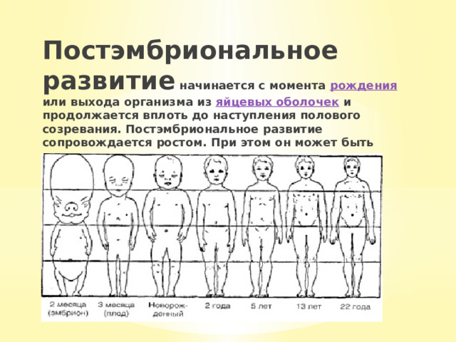 Постэмбриональное развитие начинается с момента рождения или выхода организма из яйцевых оболочек и продолжается вплоть до наступления полового созревания. Постэмбриональное развитие сопровождается ростом. При этом он может быть ограничен определенным сроком или длиться в течение всей жизни. 