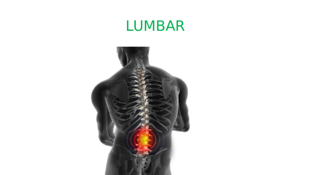LUMBAR 