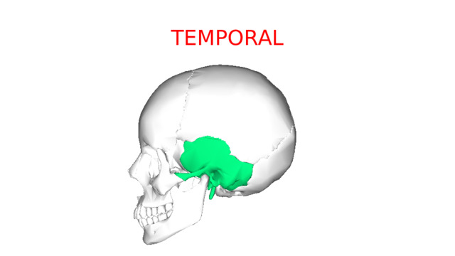 TEMPORAL 