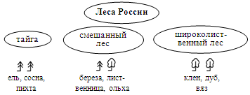 Схема леса россии