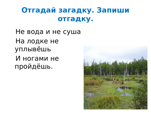 Отгадай загадку. Запиши отгадку.  Не вода и не суша  На лодке не уплывёшь  И ногами не пройдёшь. 