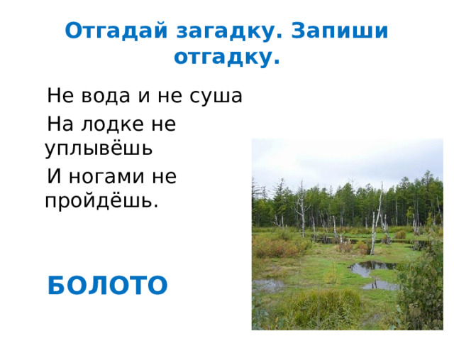 Отгадай загадку. Запиши отгадку.  Не вода и не суша  На лодке не уплывёшь  И ногами не пройдёшь. БОЛОТО 