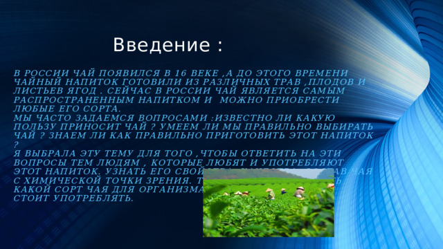 Чай - дар природы - презентация онлайн