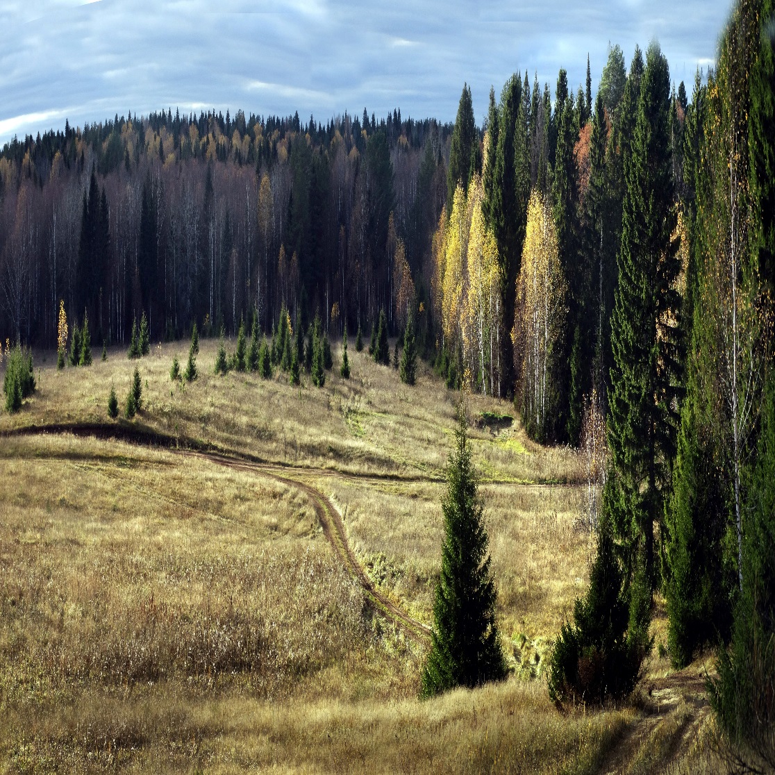 Классный час 