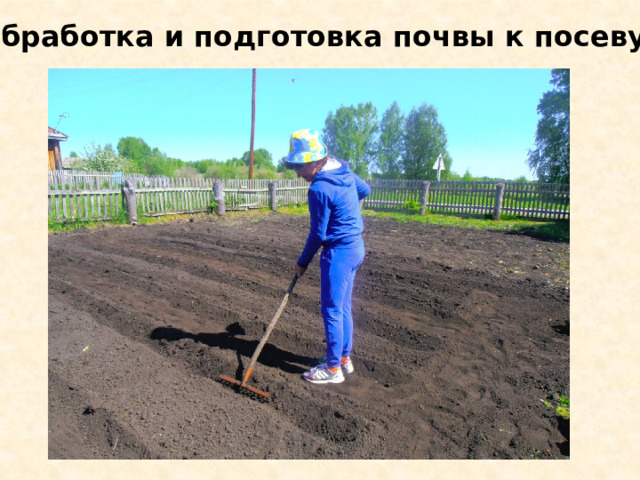 Обработка и подготовка почвы к посеву. 
