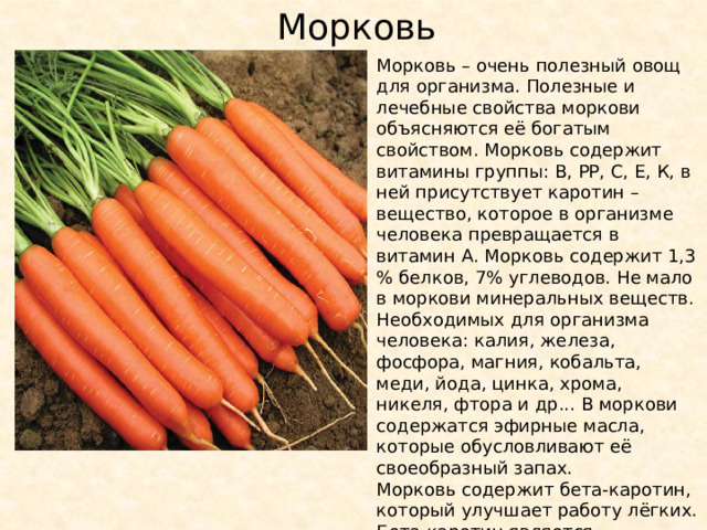 Морковь Морковь – очень полезный овощ для организма. Полезные и лечебные свойства моркови объясняются её богатым свойством. Морковь содержит витамины группы: В, РР, С, Е, К, в ней присутствует каротин – вещество, которое в организме человека превращается в витамин А. Морковь содержит 1,3 % белков, 7% углеводов. Не мало в моркови минеральных веществ. Необходимых для организма человека: калия, железа, фосфора, магния, кобальта, меди, йода, цинка, хрома, никеля, фтора и др... В моркови содержатся эфирные масла, которые обусловливают её своеобразный запах. Морковь содержит бета-каротин, который улучшает работу лёгких. Бета-каротин является предшественником витамина А. 