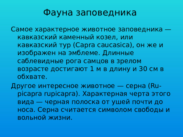 Фауна заповедника Самое характерное животное заповедника — кавказский каменный козел, или кавказский тур (Capra caucasica), он же и изображен на эмблеме. Длинные саблевидные рога самцов в зрелом возрасте достигают 1 м в длину и 30 см в обхвате. Другое интересное животное — серна (Ru-picapra rupicapra). Характерная черта этого вида — черная полоска от ушей почти до носа. Серна считается символом свободы и вольной жизни. 