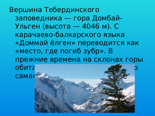 Вершина Тебердинского заповедника — гора Домбай-Ульген (высота — 4046 м). С карачаево-балкарского языка «Доммай ёлген» переводится как «место, где погиб зубр». В прежние времена на склонах горы обитали целые стада зубров. Это самая высокая точка Абхазии. 