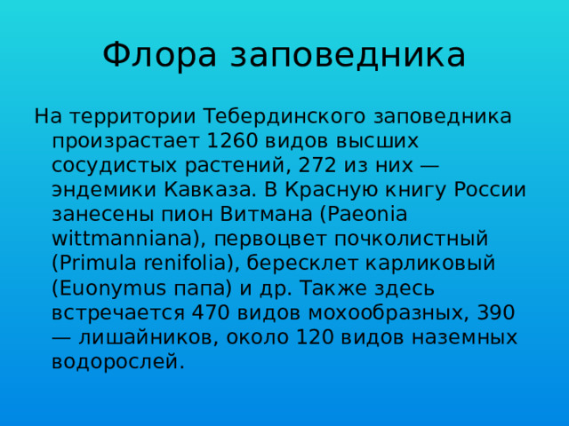 Флора заповедника На территории Тебердинского заповедника произрастает 1260 видов высших сосудистых растений, 272 из них — эндемики Кавказа. В Красную книгу России занесены пион Витмана (Paeonia wittmanniana), первоцвет почколистный (Primula renifolia), бересклет карликовый (Euonymus папа) и др. Также здесь встречается 470 видов мохообразных, 390 — лишайников, около 120 видов наземных водорослей. 