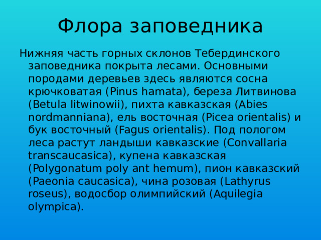 Флора заповедника Нижняя часть горных склонов Тебердинского заповедника покрыта лесами. Основными породами деревьев здесь являются сосна крючковатая (Pinus hamata), береза Литвинова (Betula litwinowii), пихта кавказская (Abies nordmanniana), ель восточная (Picea orientalis) и бук восточный (Fagus orientalis). Под пологом леса растут ландыши кавказские (Convallaria transcaucasica), купена кавказская (Polygonatum poly ant hemum), пион кавказский (Paeonia caucasica), чина розовая (Lathyrus roseus), водосбор олимпийский (Aquilegia olympica). 