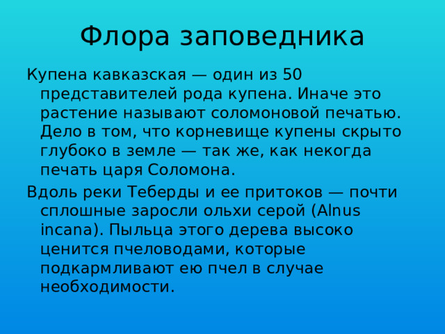 Флора заповедника Купена кавказская — один из 50 представителей рода купена. Иначе это растение называют соломоновой печатью. Дело в том, что корневище купены скрыто глубоко в земле — так же, как некогда печать царя Соломона. Вдоль реки Теберды и ее притоков — почти сплошные заросли ольхи серой (Alnus incana). Пыльца этого дерева высоко ценится пчеловодами, которые подкармливают ею пчел в случае необходимости. 