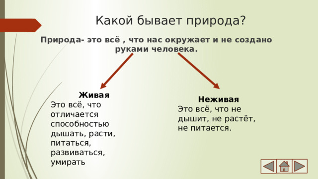 Какой бывает природа? Природа- это всё , что нас окружает и не создано руками человека. Живая Это всё, что отличается способностью дышать, расти, питаться, развиваться, умирать Неживая Это всё, что не дышит, не растёт, не питается. 