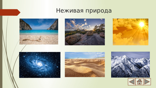 Неживая природа 