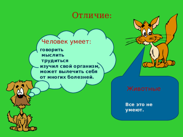 Отличие: Человек умеет: говорить  мыслить  трудиться изучил свой организм, может вылечить себя от многих болезней. Животные Все это не умеют. 