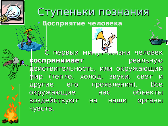 Ступеньки познания Восприятие человека    С первых минут жизни человек воспринимает реальную действительность, или окружающий мир (тепло, холод, звуки, свет и другие его проявления). Все окружающие нас объекты воздействуют на наши органы чувств. 