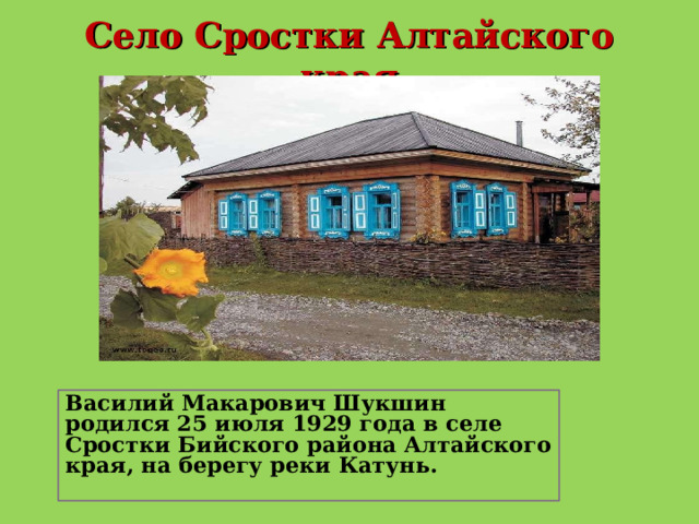  Село Сростки Алтайского края   Василий Макарович Шукшин родился 25 июля 1929 года в селе Сростки Бийского района Алтайского края, на берегу реки Катунь.  