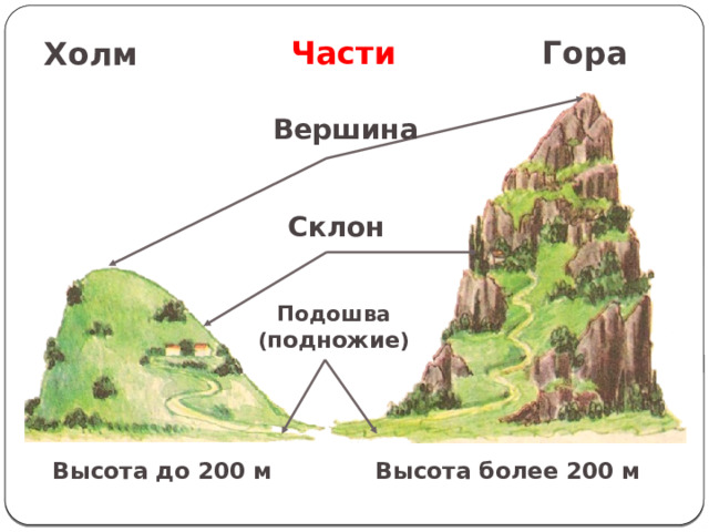 Части Гора Холм Вершина Склон Подошва ( подножие ) Высота до 200 м Высота более 200 м 