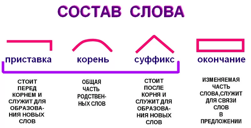 Схема состава слова перевозчик