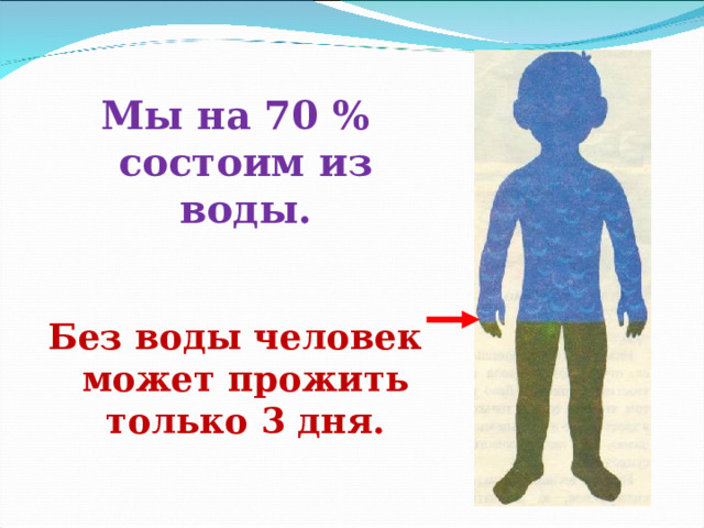 Мы на 70 % состоим из воды. Без воды человек может прожить только 3 дня.   