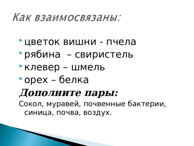 цветок вишни - пчела рябина – свиристель клевер – шмель орех – белка Дополните пары: Сокол, муравей, почвенные бактерии, синица, почва, воздух. 