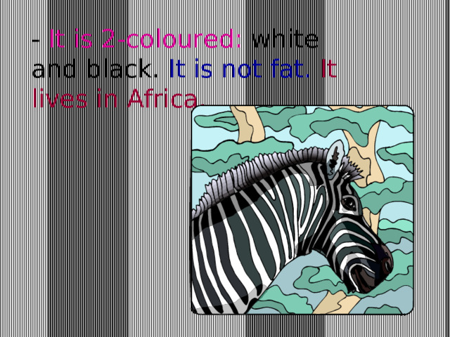 - It is 2-coloured: white and black. It is not fat.  It lives in Africa.  