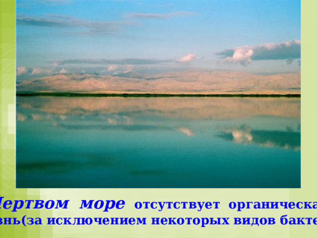 В Мертвом море отсутствует органическая  жизнь(за исключением некоторых видов бактерий). 