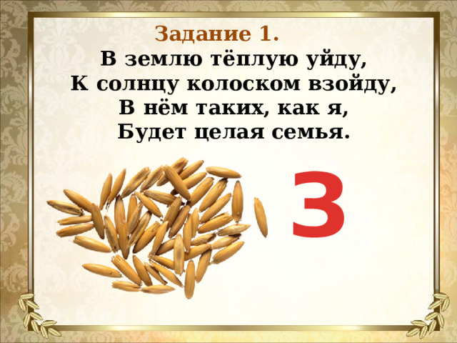 Задание 1. В землю тёплую уйду,  К солнцу колоском взойду,  В нём таких, как я,  Будет целая семья.   З 