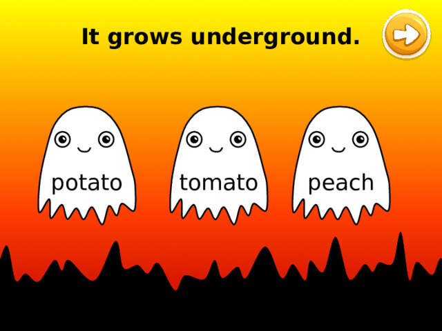 It grows underground. tomato potato peach 