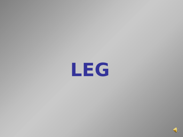 LEG    