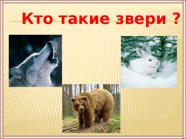 Кто такие звери