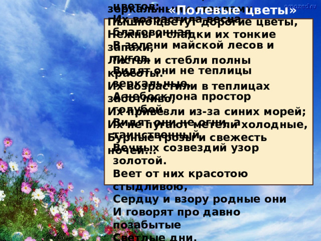 Есть на полях моей родины скромные  Сестры и братья заморских цветов:  Их возрастила весна благовонная  В зелени майской лесов и лугов. Видят они не теплицы зеркальные,  А небосклона простор голубой,  Видят они не огни, а таинственный  Вечных созвездий узор золотой. Веет от них красотою стыдливою,  Сердцу и взору родные они  И говорят про давно позабытые  Светлые дни. В блеске огней, за зеркальными стеклами,  Пышно цветут дорогие цветы,  Нежны и сладки их тонкие запахи,  Листья и стебли полны красоты. Их возрастили в теплицах заботливо,  Их привезли из-за синих морей;  Их не пугают метели холодные,  Бурные грозы и свежесть ночей...  «Полевые цветы»  