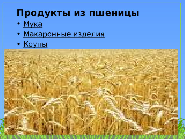 Презентация зерновые культуры 2 класс окружающий мир