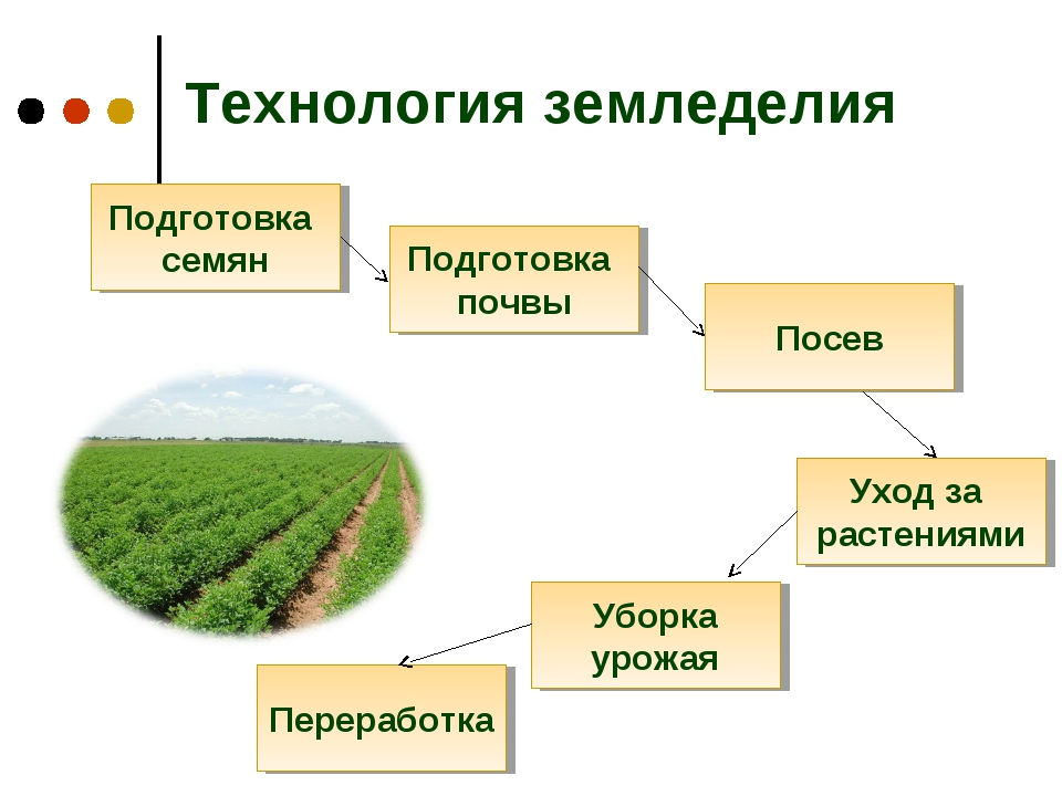 Что такое земледелие. Технологии земледелия. Технологии растениеводства. Основные типы земледелия. Земледелие схема.