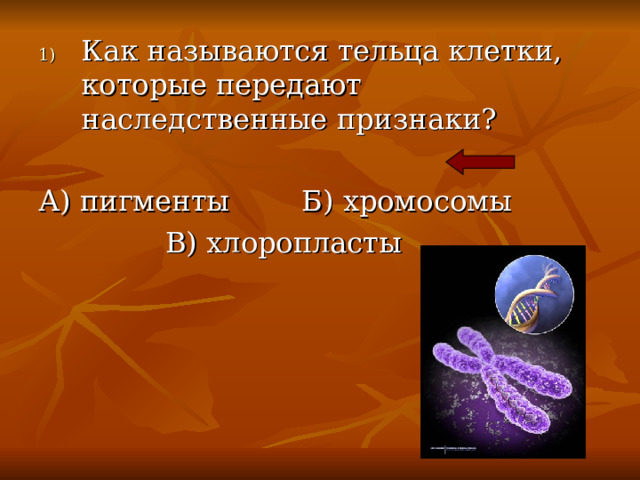 Как называются тельца клетки, которые передают наследственные признаки? А) пигменты Б) хромосомы  В) хлоропласты 