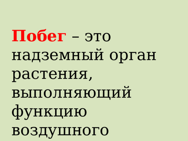 Побег – это надземный орган растения, выполняющий функцию воздушного питания . 