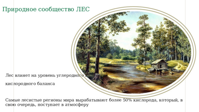 Природное сообщество ЛЕС Лес влияет на уровень углеродного и кислородного баланса Самые лесистые регионы мира вырабатывают более 50% кислорода, который, в свою очередь, поступает в атмосферу 