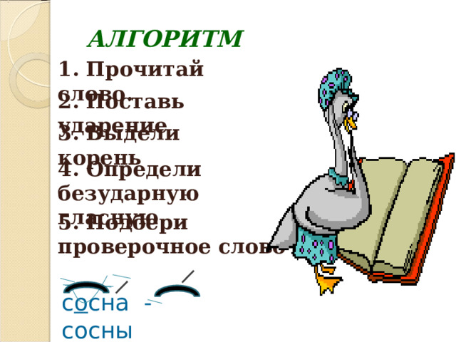 АЛГОРИТМ 1. Прочитай слово. 2. Поставь ударение 3. Выдели корень 4. Определи безударную гласную 5. Подбери проверочное слово с о сна - сосны 